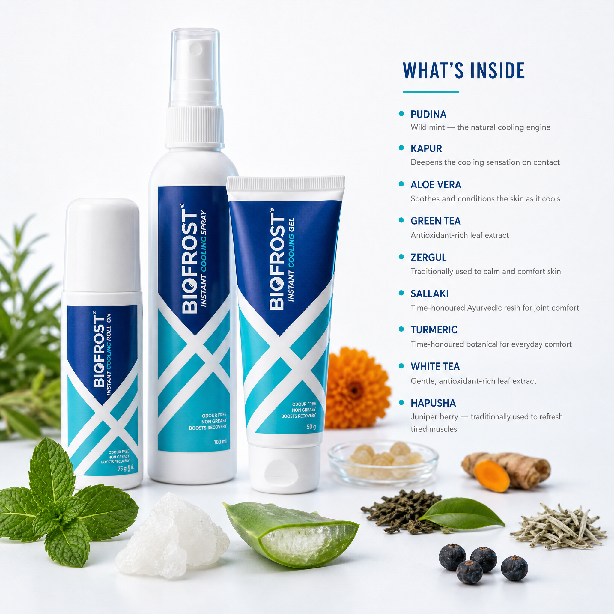 BioFrost Instant Cooling Trio – Spray, Gel & Roll-On with Natural Botanicals Support